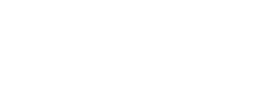 MOVIE 映像